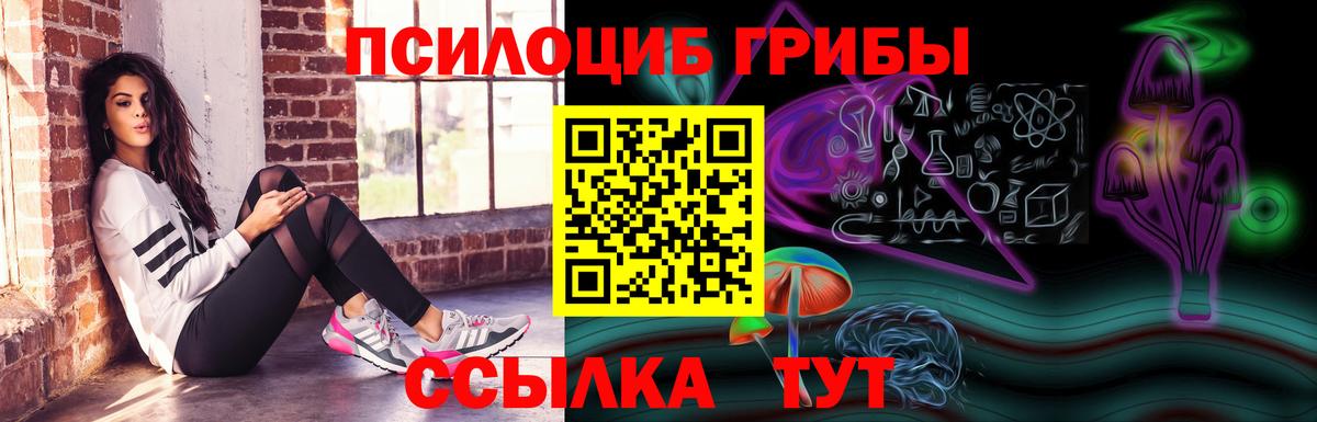 где купить наркоту  Галлюциногенные грибы Psilocybine cubensis  Городец  Вход с VPN  Галлюциногенные грибы GOLDEN TEACHER 