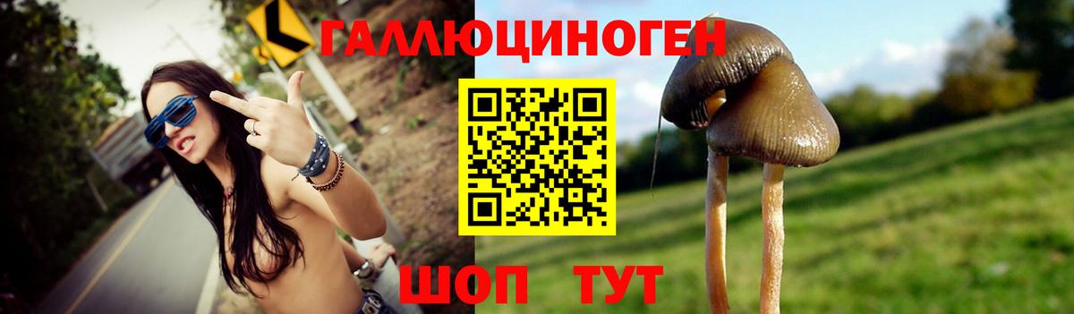 Галлюциногенные грибы прущие грибы Городец
